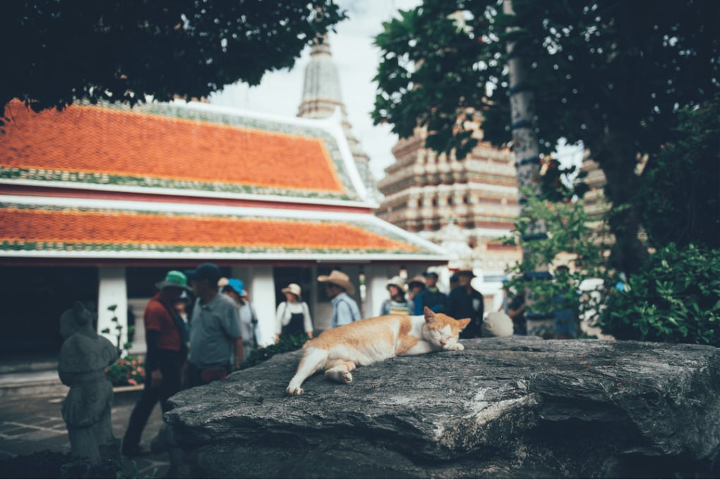 การเลือกโรงแรมหรูของลูกค้าและสิ่งที่ช่วยให้โรงแรมหรูดึงดูดลูกค้าสมัยใหม่